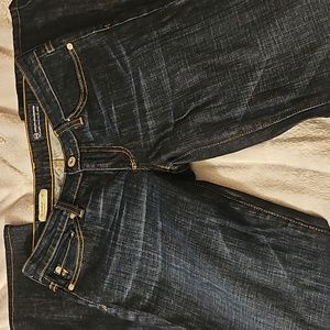 Adriano Goldschmied Bootcut Jeans / 27R